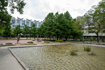 Rehabilitem es jardins interiors de l'illa dels carrer de Zamora-Llull-Àvila-Ramon Turró