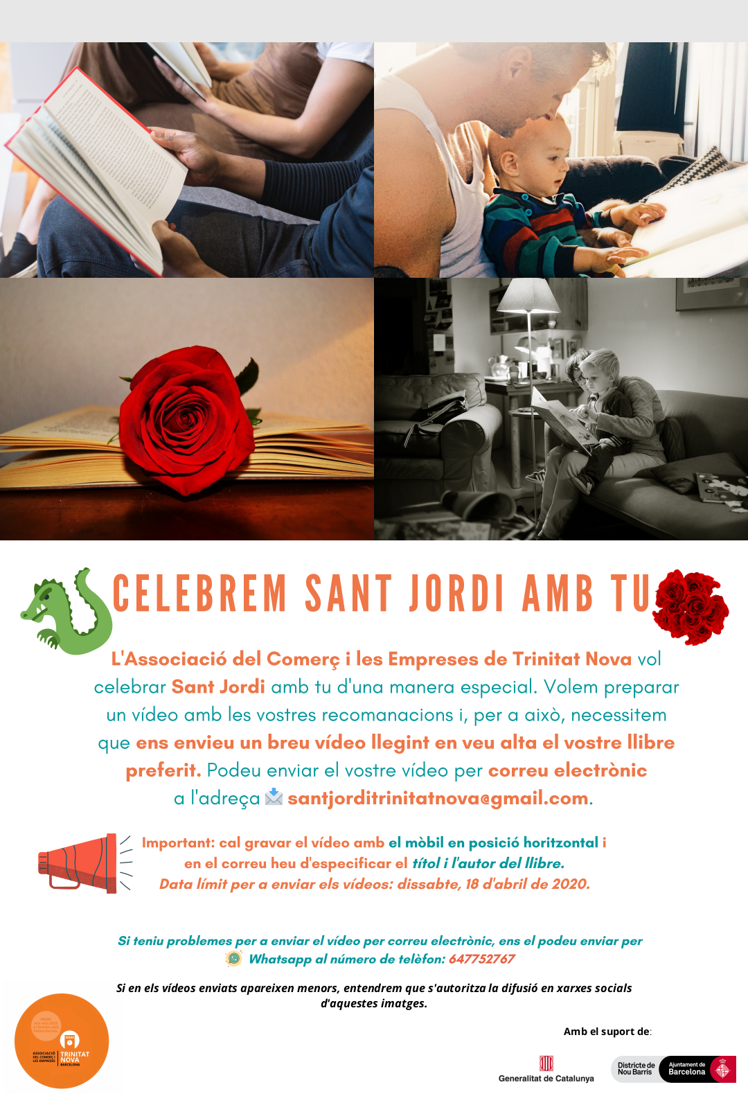 Sant Jordi des de casa