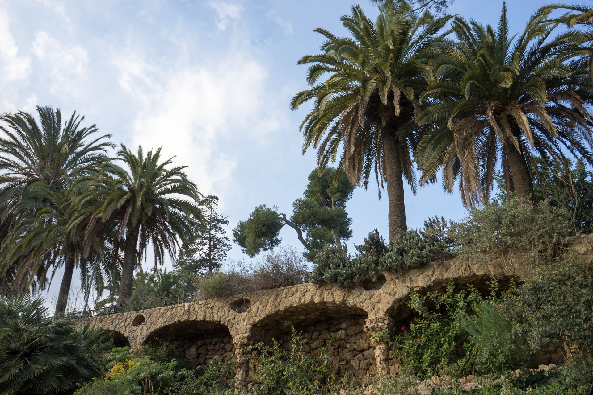 Atles de la Biodiversitat